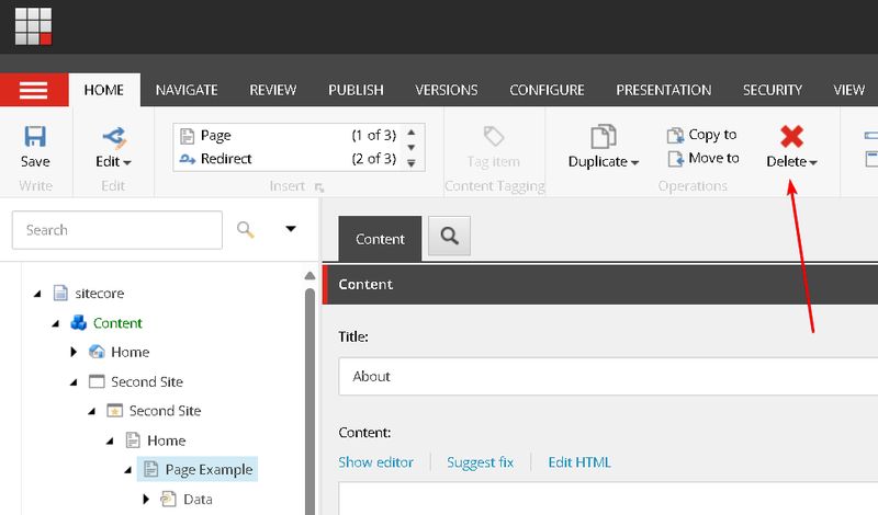 Delete Page Example